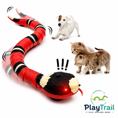 PlayTrail™ Snake Toy